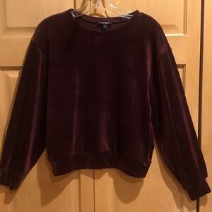 Express Deep Burgundy Velour Top